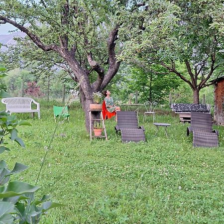 L' Edelweiss B&B Chambres D'Hotes Валоиз Екстериор снимка